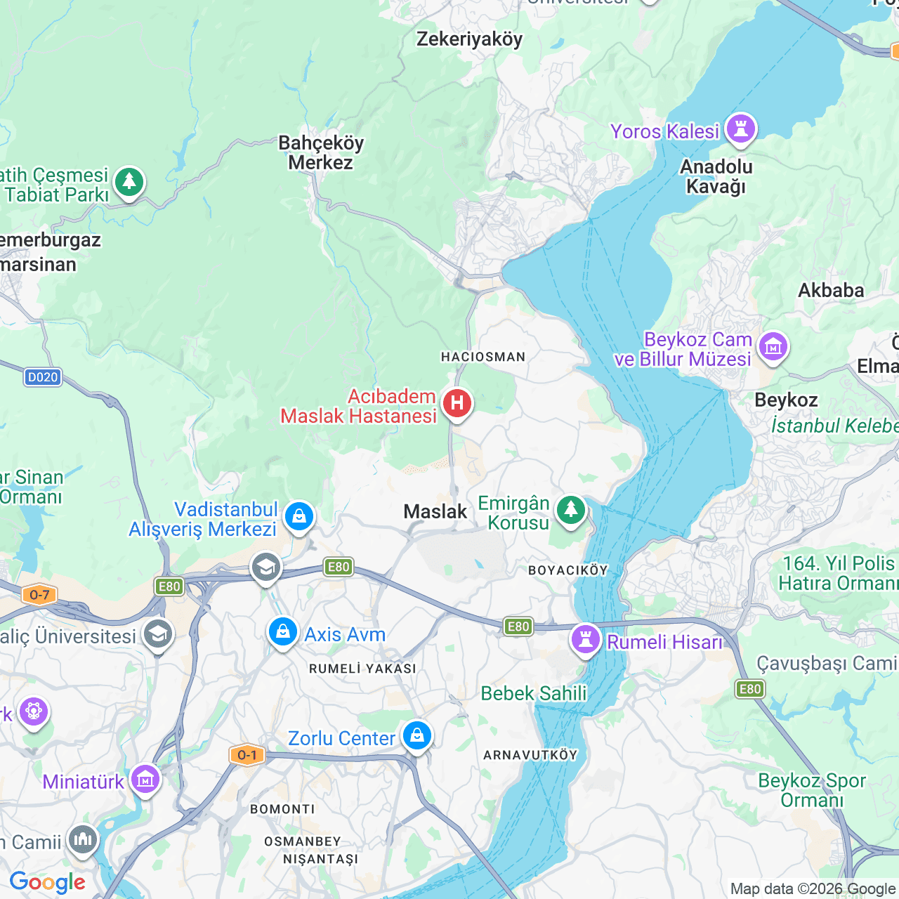 Map showing Bilnet Software's Maslak headquarters.